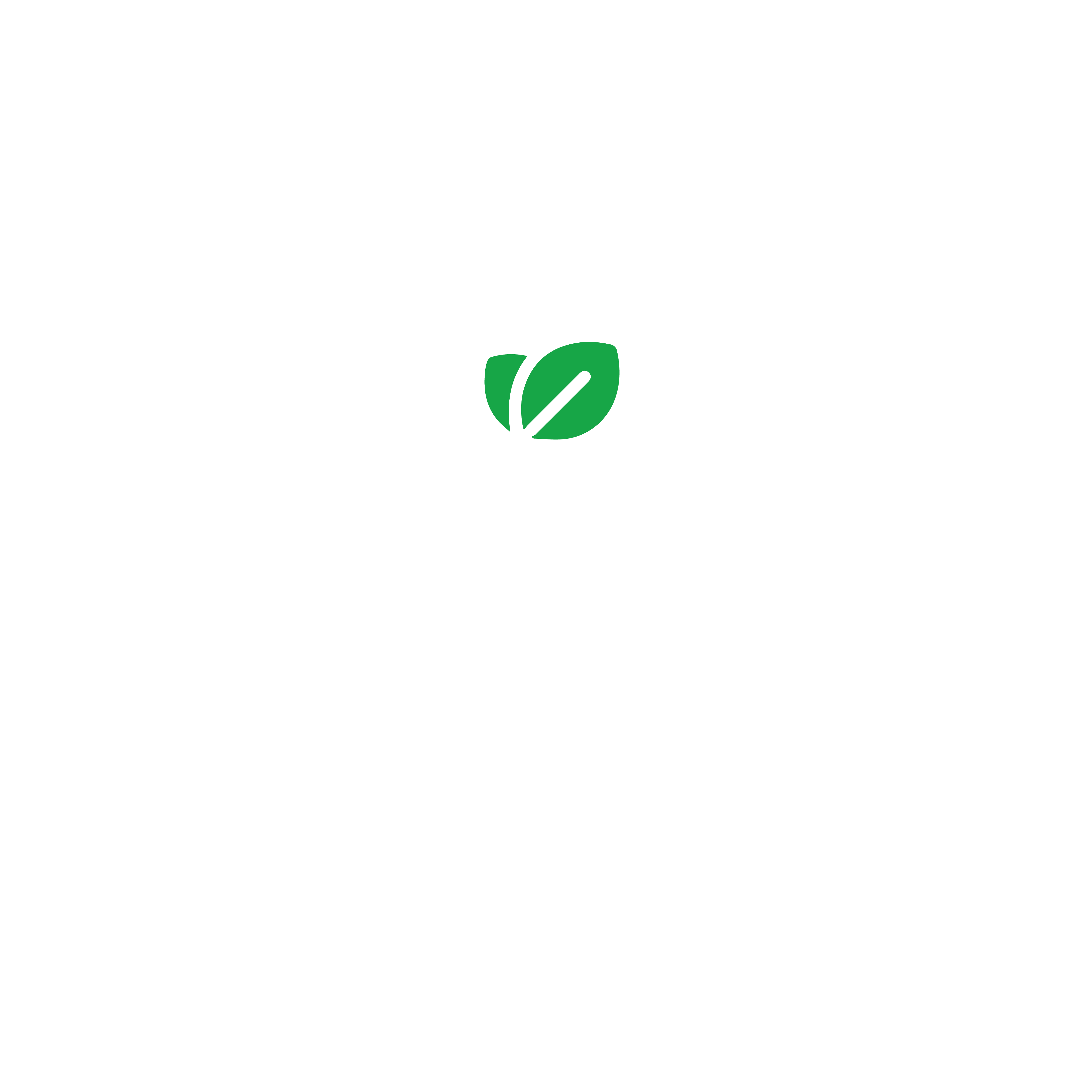 Premium Quality Tea